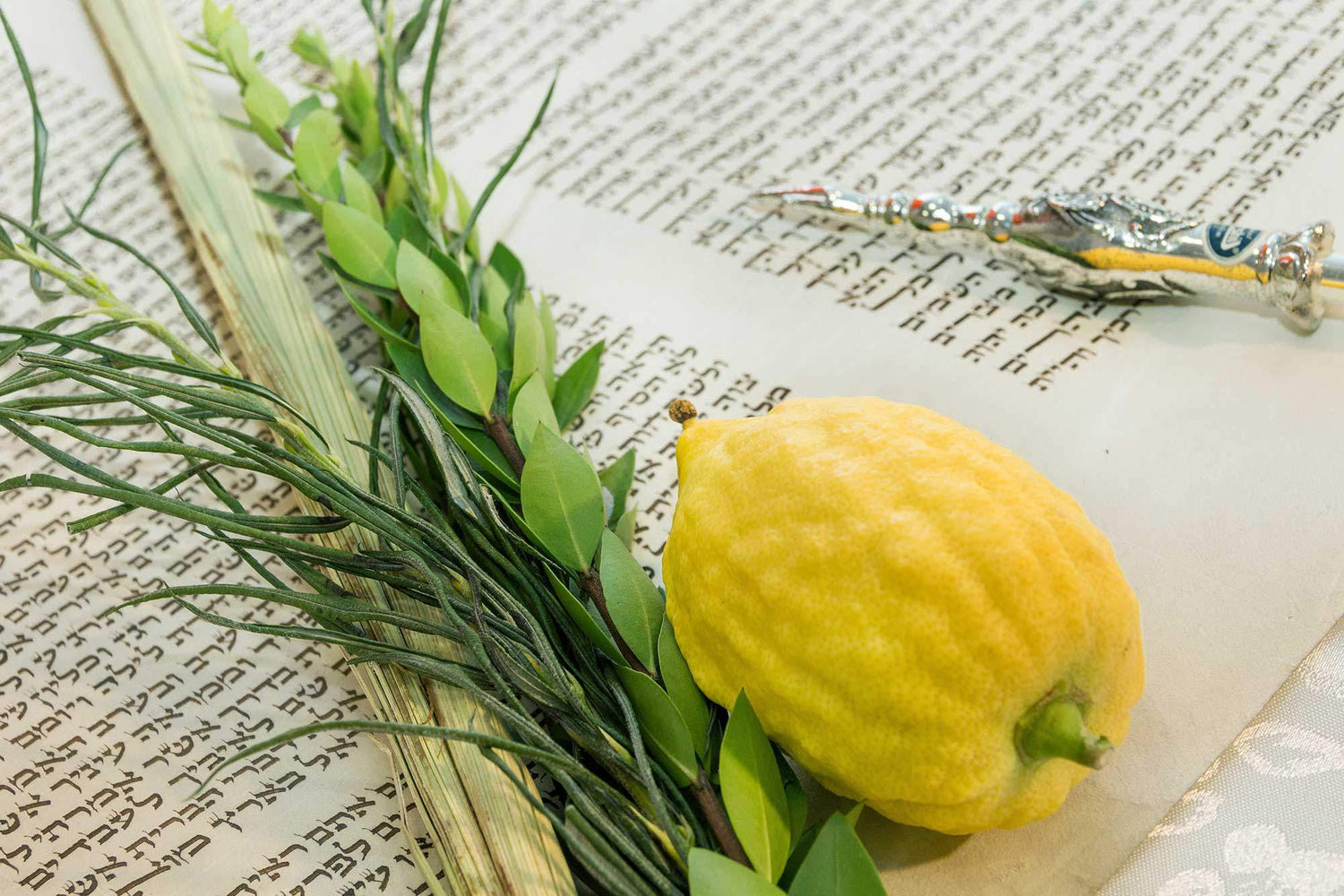 Sukkot